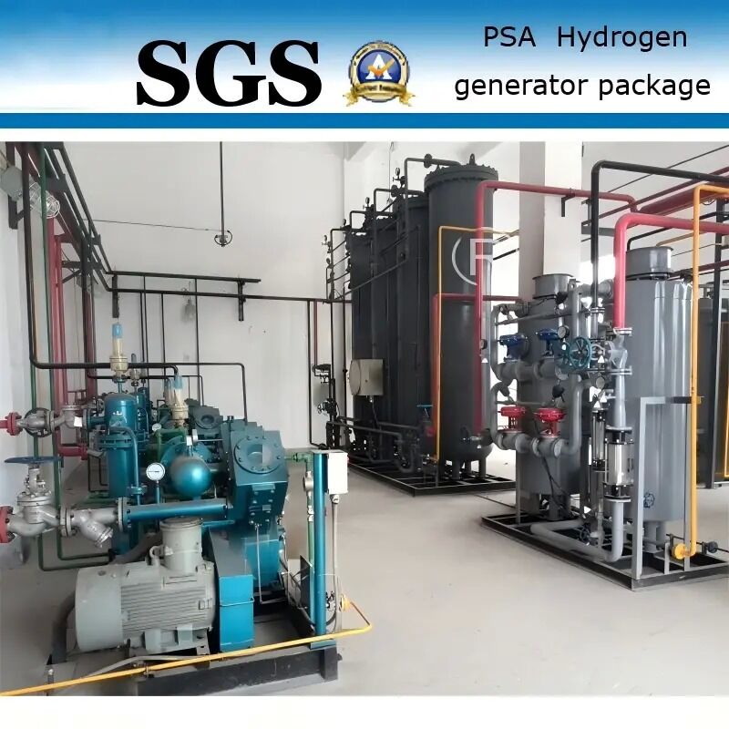 Paslanmaz Çelik Endüstrisi Uygulamaları için %99,99 saflıkta 1 KW PSA Hidrojen Jeneratörü