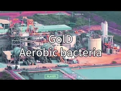 VSA VPSA OKSİJEN JENERATÖRÜ